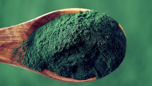 spirulina