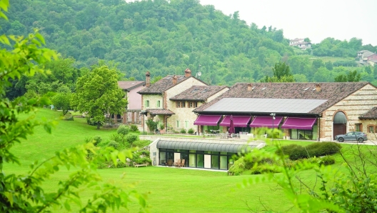 Foto IPP/Emanuele Pennacchio
Vicenza 21/06/2024  Altavilla Vicentina 
Nella foto  giardino e villa di Roberto Baggio  italyphotopress world copyright