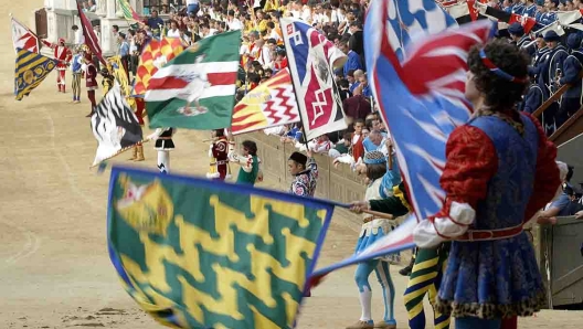 Palio di Siena 17 contrade