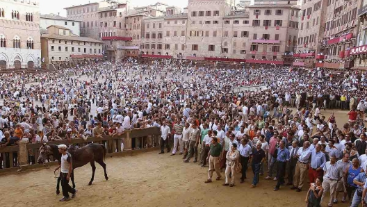 Palio di Siena curiosità