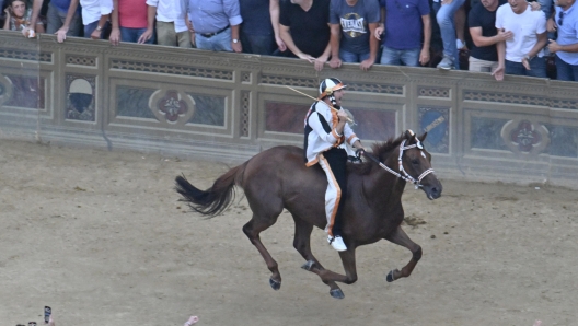 The monkey of Contranda of Lupa  named  Dino Pes    of nickname Velluto on  Benitos  wins the historical Italian horse race Palio di Siena, in Siena, Italy, 17 August 2024. The traditional horse race takes place on 17 August as the 'Palio dell'Assunta' during the holidays for the Assumption of Mary. ANSA/CLAUDIO GIOVANNINI