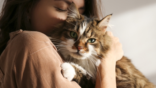 Figli, animali e partner. Il cervello umano  mappato per almeno sei tipi di amore diverso. Ecco le incredibili scoperte della scienza.