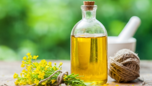 Olio di canola: usi e benefici. È migliore o peggiore di altri oli in cucina?