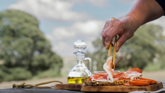 woman putting slices of acorn-fed iberian ham on a slice of bread with tomato and olive oil on a wooden table in the countryside, typical spanish sandwich, bread with tomato or catalana.