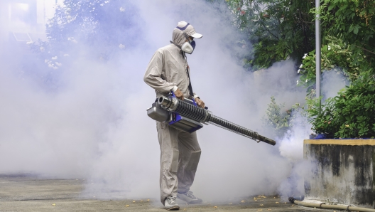 Dengue a Brescia un caso autoctono. Cosa sappiamo