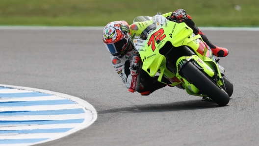 PHILLIP ISLAND, AUSTRALIA - OCTOBER 18: Marco Bezzecchi of Italy and #72 Pertamina Enduro VR46 during practice ahead of the MotoGP of Australia, at Phillip Island Grand Prix Circuit on October 18, 2024 in Phillip Island, Australia. (Photo by Robert Cianflone/Getty Images)