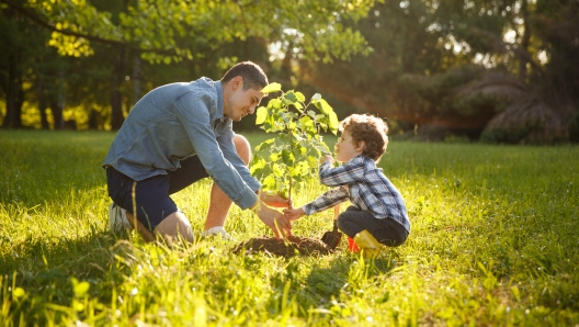 Father wearing gray shirt and shorts and son in checkered shirt and pants planting tree under sun.