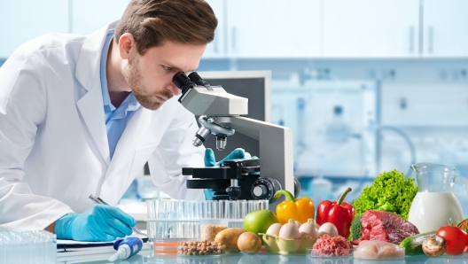 Food quality control expert inspecting specimens of groceries in the laboratory