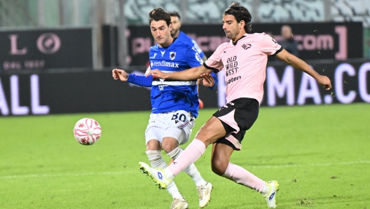 Foto Giovanni Isolino/LaPresse 24 Novembre 2024 Palermo, Italia - sport - calcio - Palermo vs Sampdoria - Campionato di calcio Serie B 2024/2025 - Stadio Renzo Barbera. Nella foto:  PIETRO CECCARONI November 24, 2024 Palermo, Italy - sport - soccer - Palermo vs Sampdoria - Italian Football Championship League B 2024/2025 - Renzo Barbera stadium. In the pic:PIETRO CECCARONI