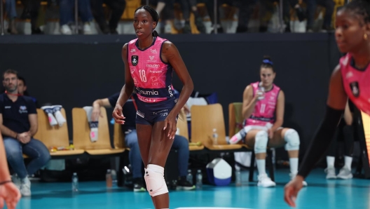 vero volley milano egonu