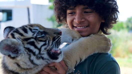 Il ragazzo e la tigre cast