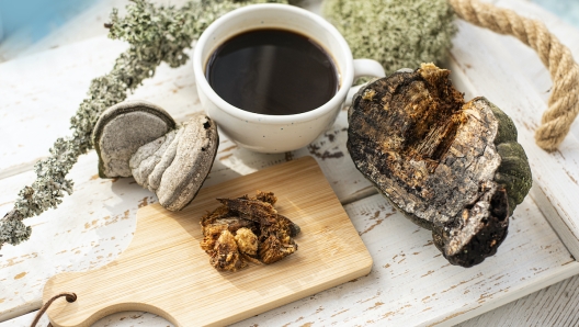 Mushroom coffee chaga superfood. Dried mushrooms and and a cup of coffee. Healthy organic energizing adaptogen, endurance boosting food trends.