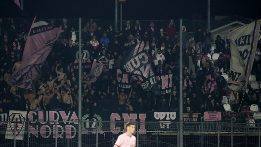 \palermo supporters   during the  Serie BKT soccer match between Cittadella  and Palermo at the  Pier Cesare Tombolato Stadium, north Est Italy - Sunday , December 29, 2024. Sport - Soccer (Photo by Paola Garbuio /Lapresse)