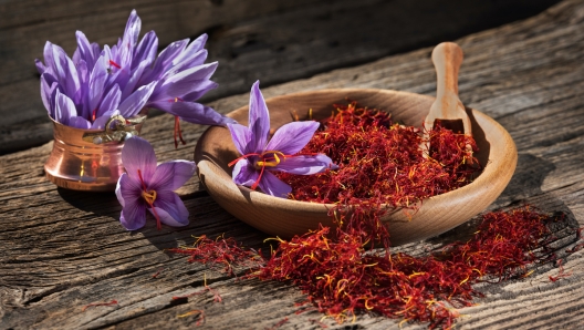 Set of dry saffron spice and fresh saffron flowers