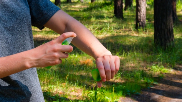 Zanzare: l'effetto boomerang dei repellenti. Invece di respingerle, le attraggono?