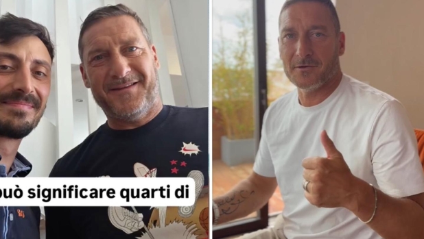 Totti e Noemi Bocchi, incubo nella nuova casa: maxi nido di 2mila vespe