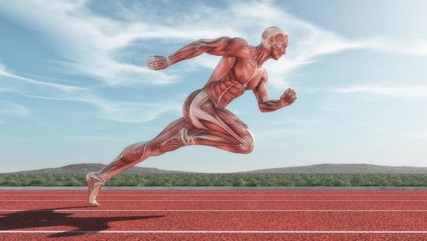 Vitamina E per i muscoli del runner