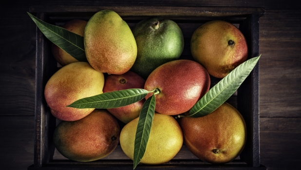 Tropical fruits: Wooden crate with assorted mangos in rustic kitchen. Natural lighting