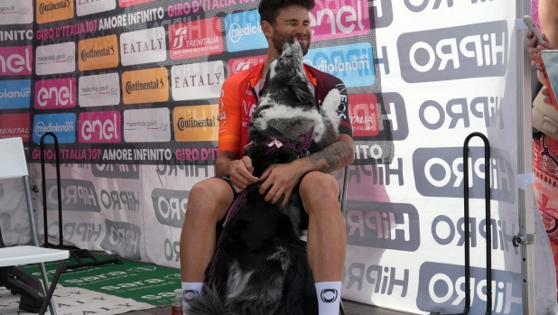 Ganna Filippo (Team Ineos Grenadiers) with dog during the stage 14 of the Giro d'Italia 2024 ITT from Castiglione delle Stiviere to Desenzano del Garda, Italy - Saturday, May 18, 2024 - Sport, Cycling (Photo by Gian Gian Mattia D'Alberto/ LaPresse