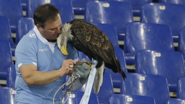 FILE - Lazio's mascot Olympia is recovered by falconer Juan Bernabe after escaping prior to the start of a Serie A soccer match between Lazio and AC Milan at Rome's Olympic stadium, Saturday, Jan. 24, 2015. (AP Photo/Gregorio Borgia, File)