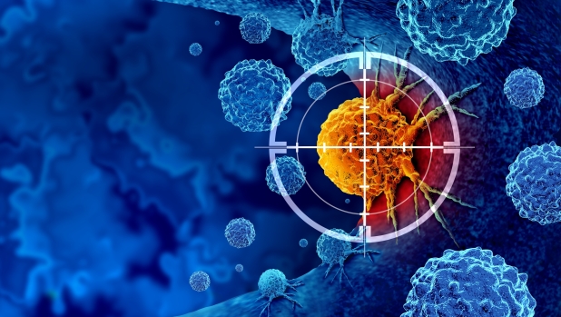L'immunoterapia si rafforza a tavola: i cibi alleati contro il cancro