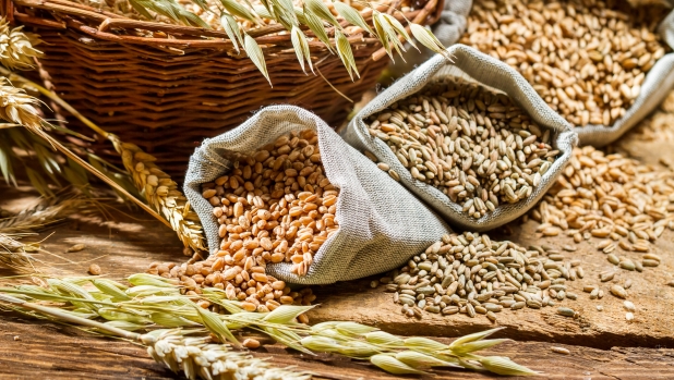 Carboidrati più ricchi di fibre: quali sono e quanti assumerne al giorno per stare bene