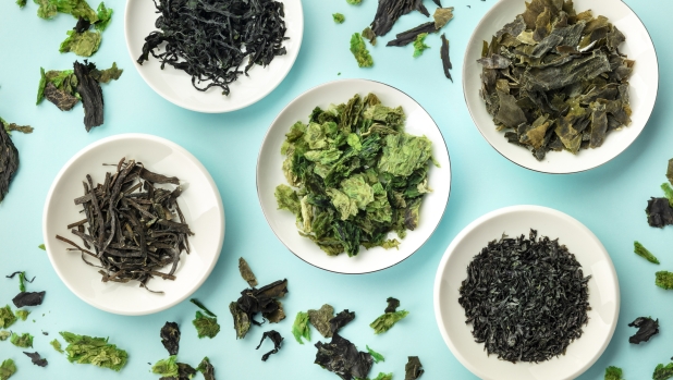 Tutte le virtù della alghe: come mangiarle? Fresche o essiccate? I consigli della nutrizionista