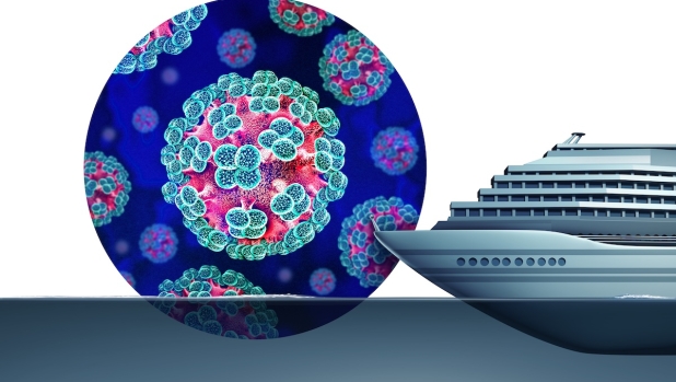 A Bordeaux allarme norovirus su una nave da crociera: sintomi, contagio e rischi del virus