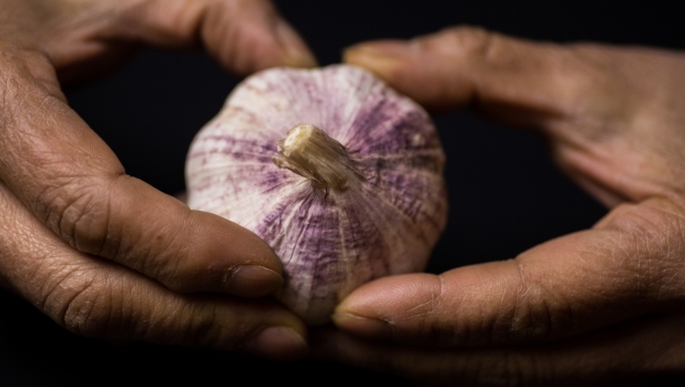 Longevità: l'aglio potrebbe aiutare i muscoli a invecchiare meglio