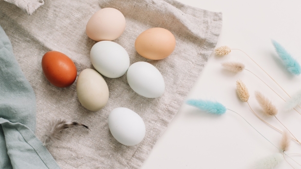 Il colore del guscio delle uova ci dice quali sono le migliori? Ecco quali scegliere