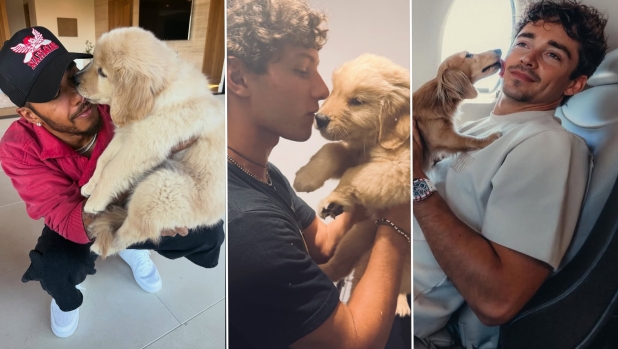Da Leo di Leclerc a Halo di Hamilton fino al "nuovo amore" di Kimi: tutti i cani dei piloti