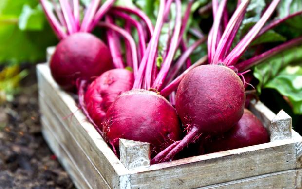 La barbabietola rossa salute vegetale alimenti con il frullato di bere  succo di frutta fresca, polvere, affettato, decapati e triturato beetoots  su sfondo di quercia Foto stock - Alamy