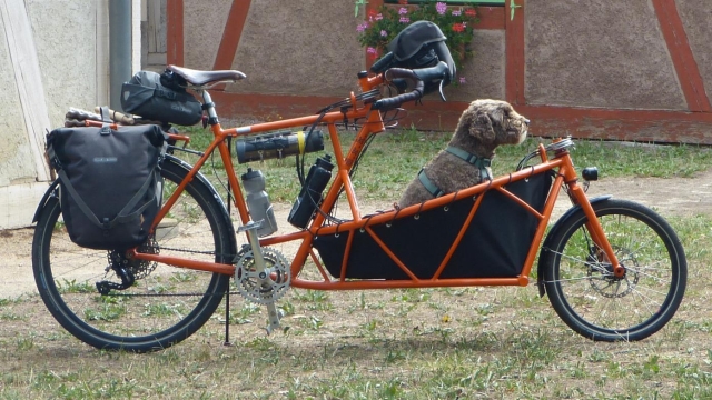 La "cargo bike" realizzata da Daniel per trasportare anche la piccola Zola
