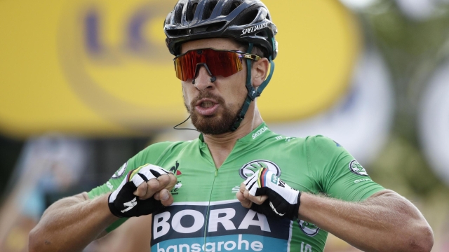 epa06880815 Bora Hansgrohe team rider Peter Sagan of Slovakia celebrates as he crosses the finish line to win the 5th stage of the 105th edition of the Tour de France cycling race over 204,5km between Lorient and Quimper, France, 11 July 2018.  EPA/YOAN VALAT