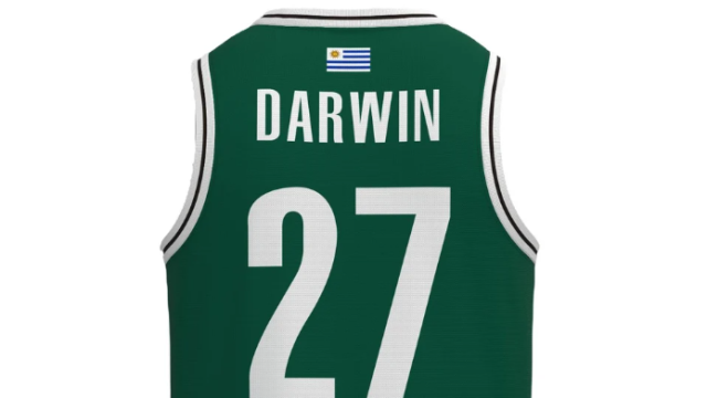 maglia da basket darwin nunez