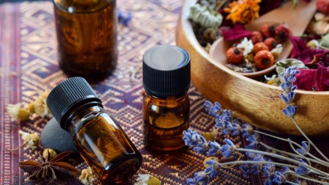 dried herbs and rose hips with essential oils for aromatherapy treatment