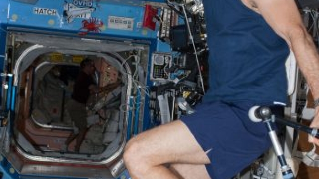 L'astronauta dell'ESA Luca Parmitano si esercita sulla bicicletta della Stazione Spaziale Internazionale per tenersi in forma durante la sua missione Volare nel 2013. Copyright: ESA/NASA