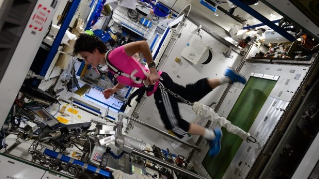 L'astronauta dell'ESA Samantha Cristoforetti si esercita sulla Stazione Spaziale Internazionale durante la sua missione Futura nel 2015. Copyright: ESA/NASA