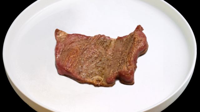 Novameat: la bistecca di carne finta
