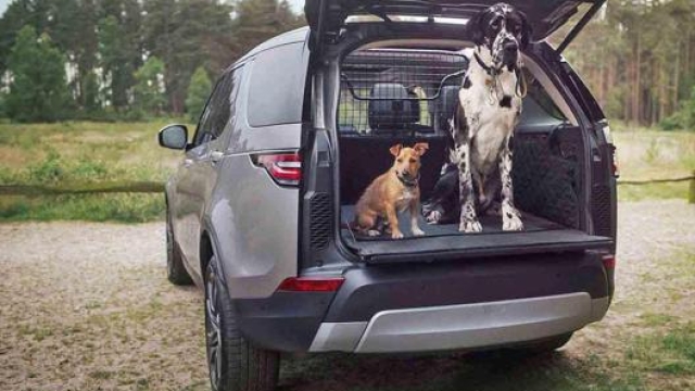 Le modalità di trasporto dei cani possono cambiare a seconda della loro taglia. Ansa