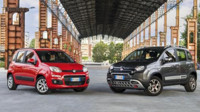 Eterna Panda: a 40 anni dal debutto, la city car Fiat resta la vettura più venduta nel nostro Paese