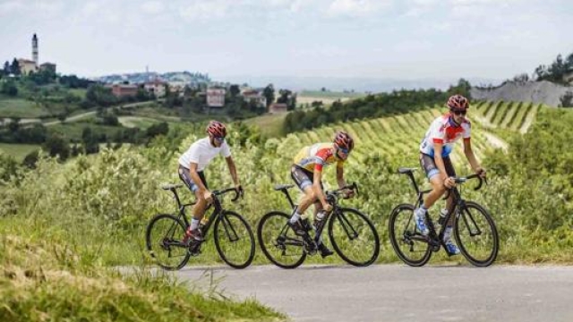 Nel Gavi, in Piemonte, itinerari apprezzati per il ciclismo su strada. Arc. Alexala/G. Grassano