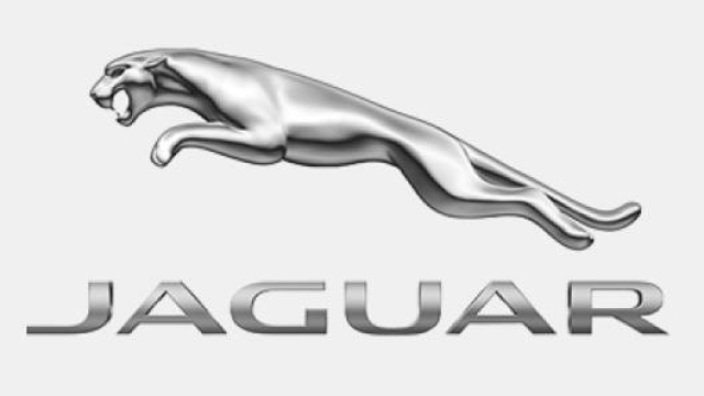 Il logo Jaguar è nato nel 1945, insieme alla trasformazione della SS Cars