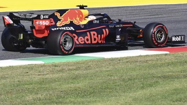 Max Verstappen al Mugello con la Red Bull. Lapresse