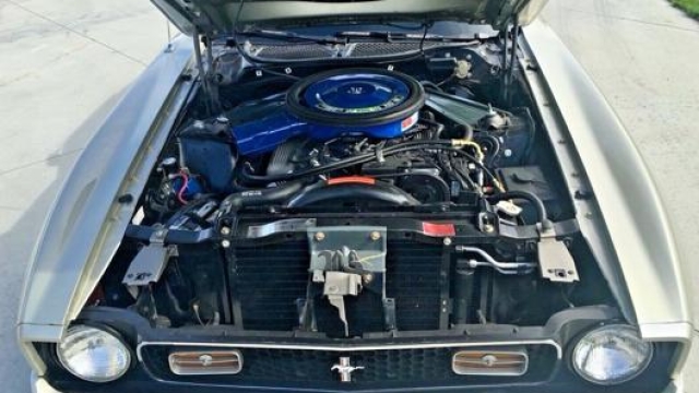 Sette litri di cilindrata, il V8 Cobra Jet della Mustang eroga 339 Cv con 600 Nm di coppia massima