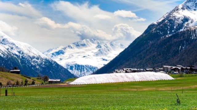 La massa nevosa recuperata a fine inverno a Livigno viene accatastata e ricoperta da teli geotermici durante l’estate