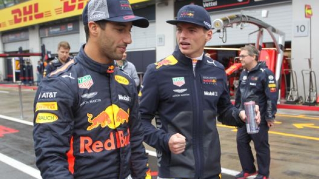Daniel Ricciardo e Max Verstappen ai tempi della Red Bull. LaPresse