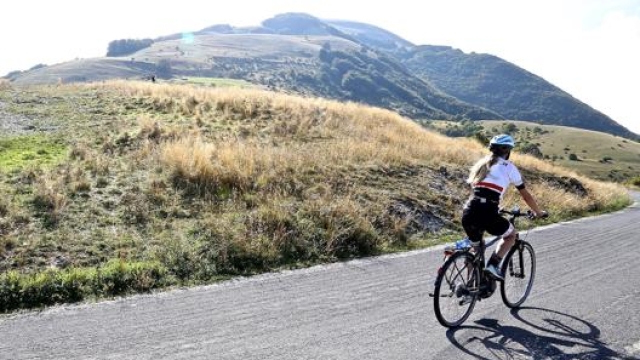 Trekking bike a pedalata assistita, perfette per i viaggi su strada e in città. Masperi