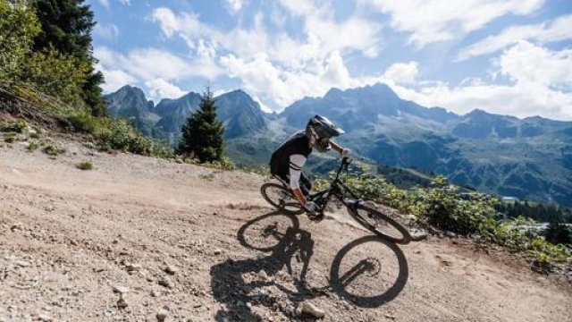I trail per mountain bike del comprensorio Pontedilegno-Tonale. G. Podetti