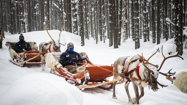 Il pilota Hyundai Craig Been su una tradizionale slitta in Finlandia. Red Bull Content Pool
